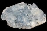 Sky Blue Celestine (Celestite) Crystal Cluster - Madagascar #74697-1